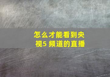 怎么才能看到央视5 频道的直播